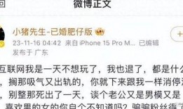 小猪爆料宋浩然视频