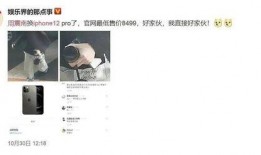 我被别人吃瓜了小说免费阅读