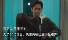 我的危险妻子在线观看8,揭秘我的危险妻子在线观看背后的惊心动魄