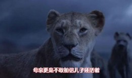 辛巴女艺人爆料视频,揭秘娱乐圈惊人内幕