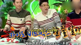 吃瓜综艺娱乐猪