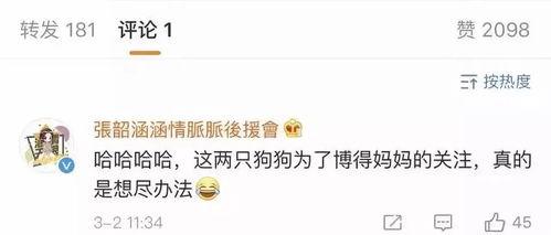 娱乐吃瓜酱属于什么标签,揭秘娱乐圈幕后故事,带你领略明星幕后生活