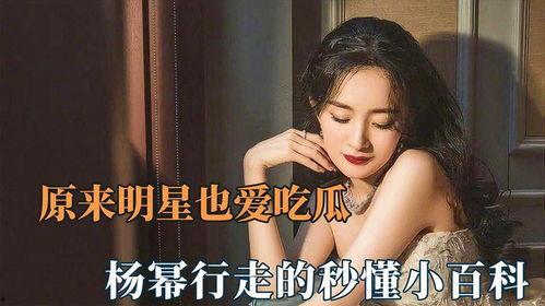 吃瓜娱乐杨幂视频下载免费观看,一网打尽吃瓜乐趣